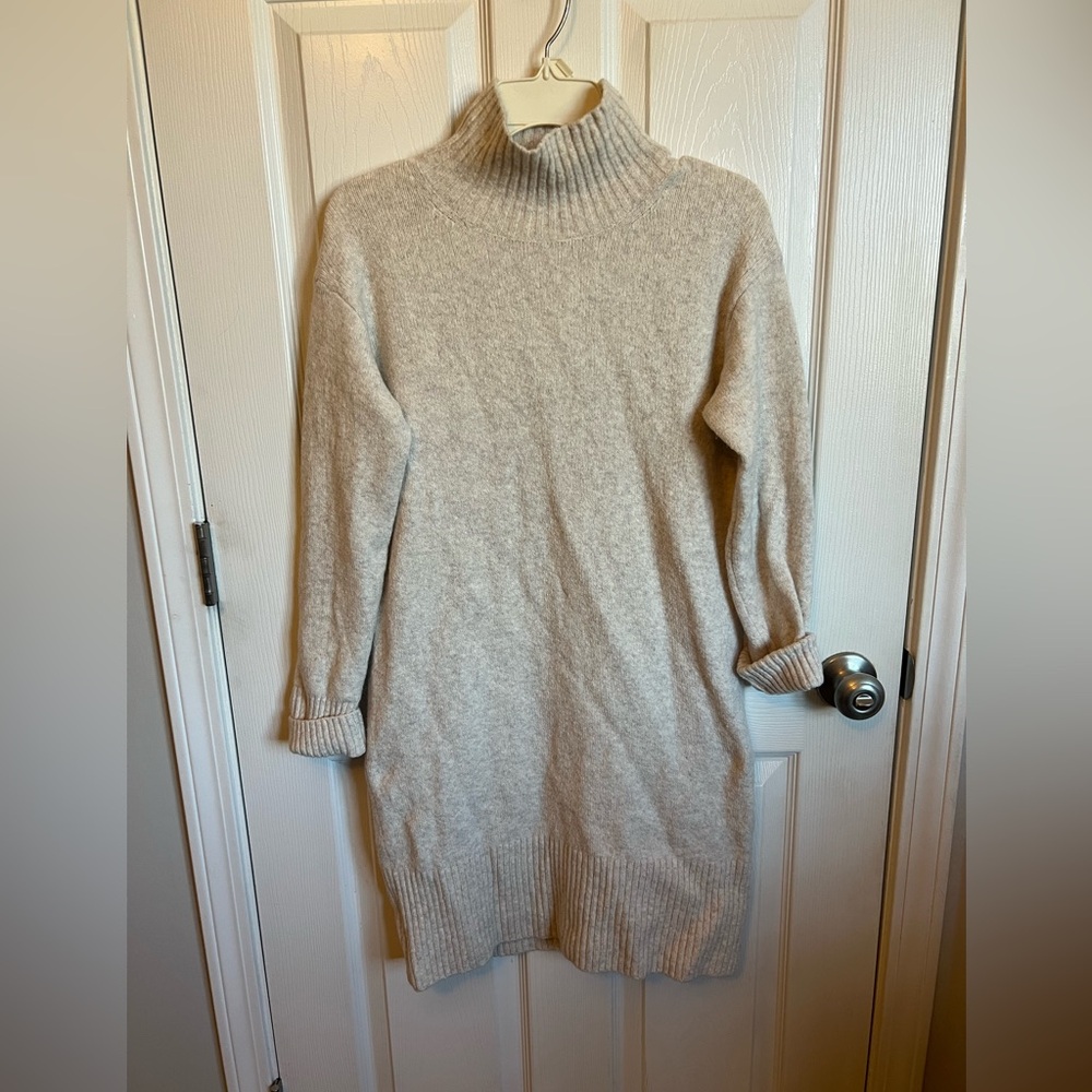 Everlane Turtleneck Sweater Dress